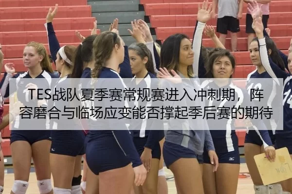 TES战队夏季赛常规赛进入冲刺期，阵容磨合与临场应变能否撑起季后赛的期待